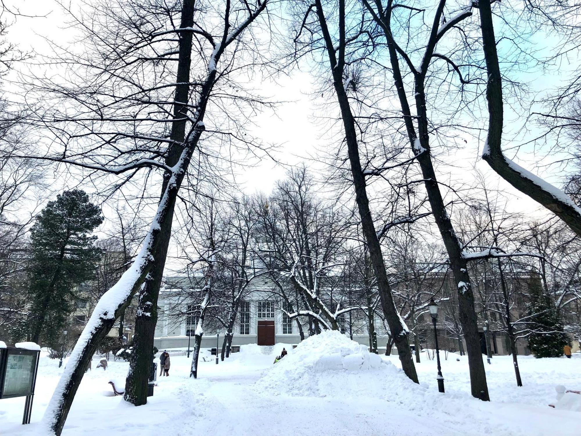 Scandinavian Home 21 In Heard City Хелзинки Екстериор снимка